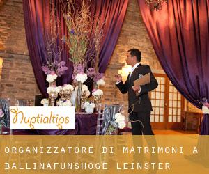 Organizzatore di matrimoni a Ballinafunshoge (Leinster)