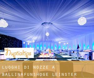 Luoghi di nozze a Ballinafunshoge (Leinster)