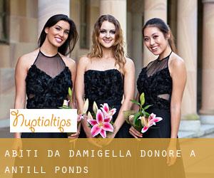 Abiti da damigella d'onore a Antill Ponds