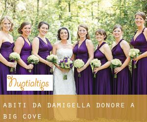 Abiti da damigella d'onore a Big Cove