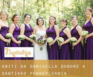 Abiti da damigella d'onore a Santiago (Pennsylvania)