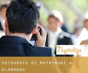 Fotografo di matrimoni a Alamando