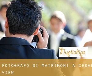 Fotografo di matrimoni a Cedar View