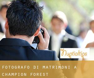 Fotografo di matrimoni a Champion Forest