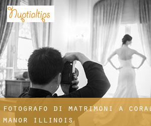 Fotografo di matrimoni a Coral Manor (Illinois)