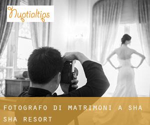 Fotografo di matrimoni a Sha-Sha Resort