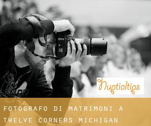 Fotografo di matrimoni a Twelve Corners (Michigan)