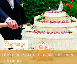 Torte nuziali a Alum Springs (Kentucky)