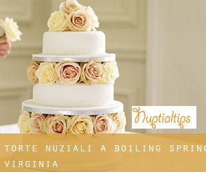 Torte nuziali a Boiling Spring (Virginia)