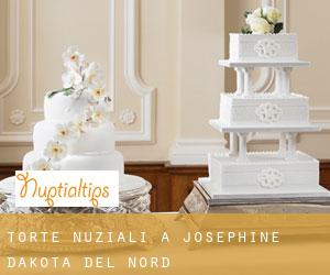 Torte nuziali a Josephine (Dakota del Nord)