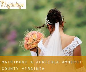 matrimoni a Agricola (Amherst County, Virginia)