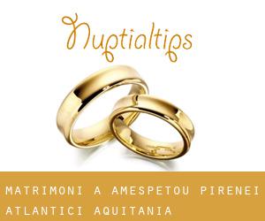 matrimoni a Amespétou (Pirenei atlantici, Aquitania)