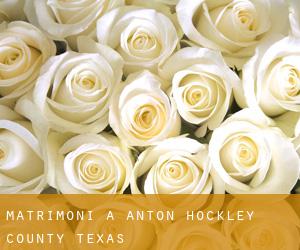 matrimoni a Anton (Hockley County, Texas)