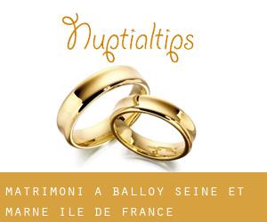 matrimoni a Balloy (Seine-et-Marne, Île-de-France)