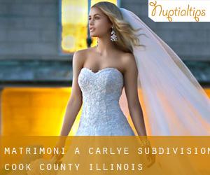 matrimoni a Carlye Subdivision (Cook County, Illinois)