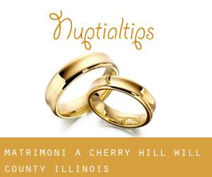 matrimoni a Cherry Hill (Will County, Illinois)