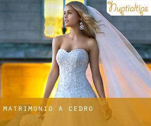 matrimonio a Cedro